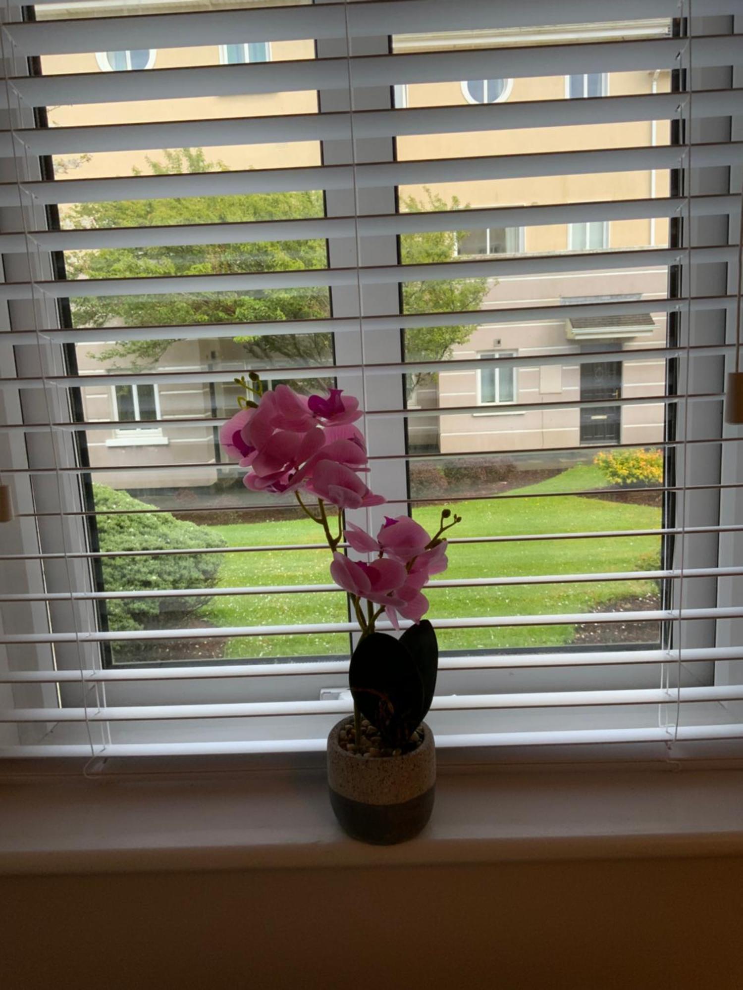 Quite And Cozy 2 Bedroom Apartment Galway Esterno foto